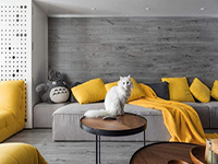 純干貨！家里有寵物的十個裝飾小建議